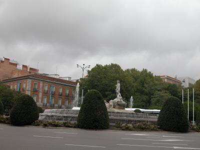 Plataneros e  Ilustración en el Paseo del Prado (Madrid)